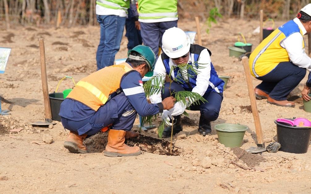 Bukit Asam (PTBA) Kembangkan Energi Biomassa Dari Kaliandra Merah ...