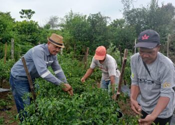 Pemdes Remantai said badri Pokos untuk kemajuan desa dengan pengelolaan anggaran Dana Desa (DD)